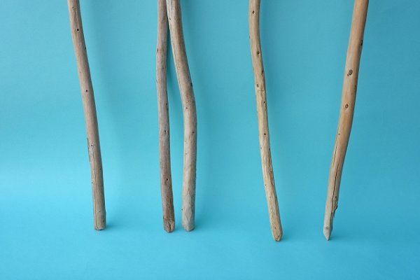 画像2: 棒流木セット (2)