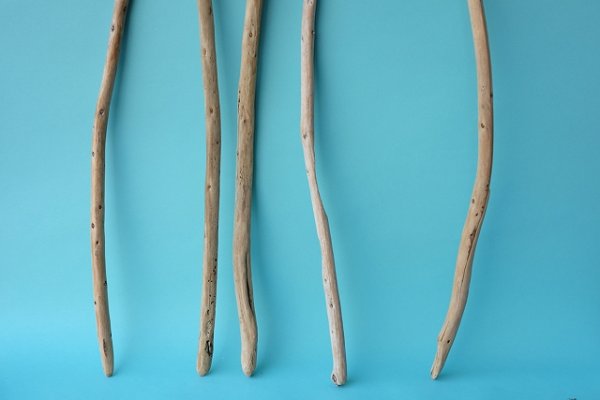 画像2: 棒流木セット (2)