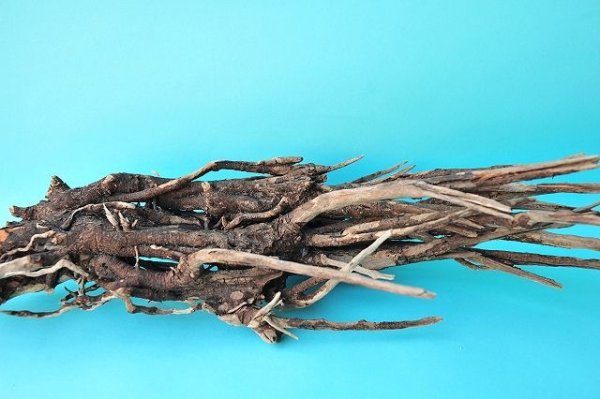 画像4: 流木根（中型） (4)