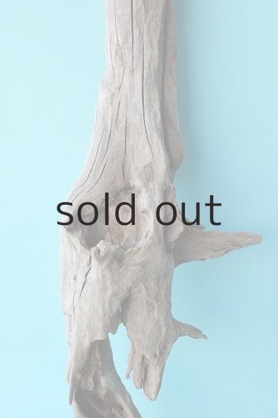 画像3: 変形流木（中型） (3)