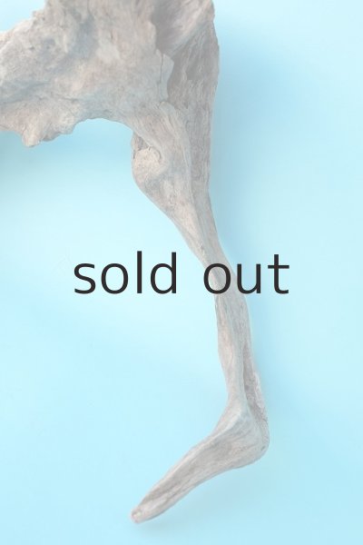 画像3: 変形流木 (3)