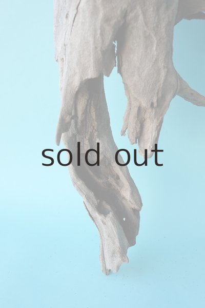 画像2: 変形流木（中型） (2)