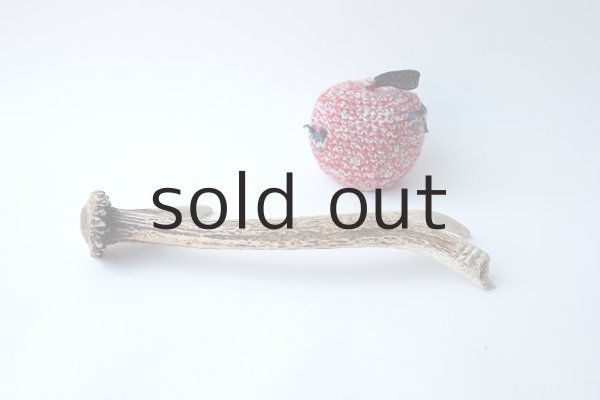 画像3: デコール用二ホンジカの角 (3)