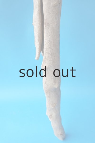 画像2: 大型　根 (2)