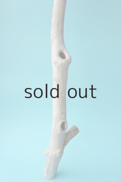 画像5: 枝流木 (5)