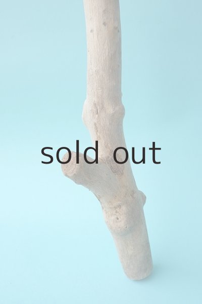 画像2: 枝流木 (2)