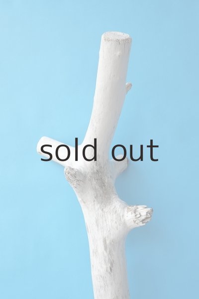 画像4: 大型　幹 (4)