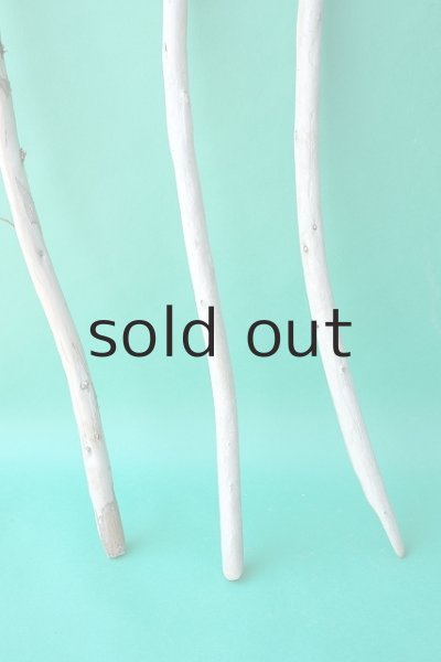 画像2: 棒流木セット (2)