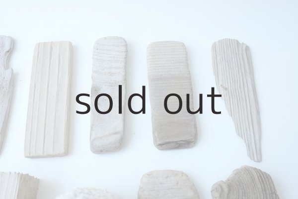 画像3: 板流木セット (3)