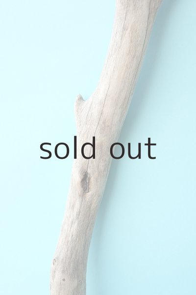 画像3: 幹流木 (3)