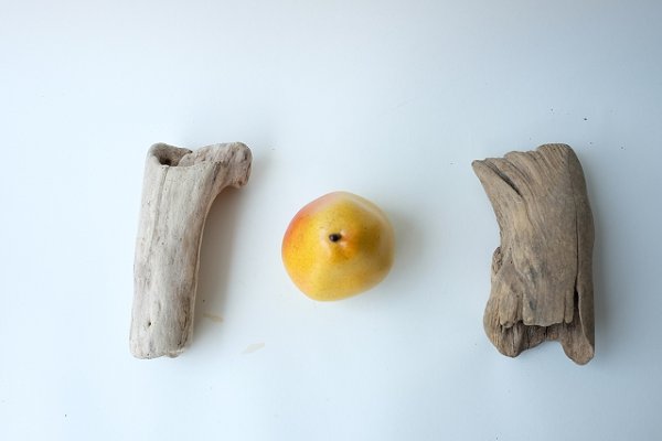 画像2: 変形流木セット (2)