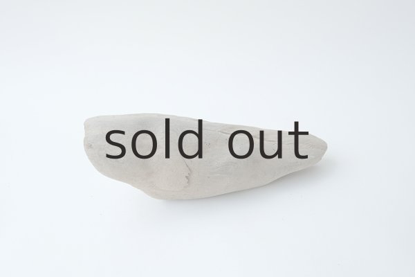 画像3: 変形流木 (3)