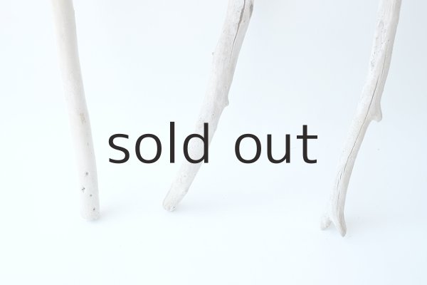 画像2: 小枝流木セット (2)