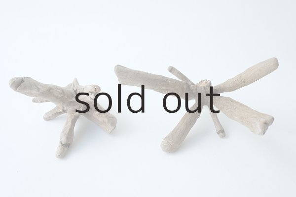 画像3: 変形流木セット (3)