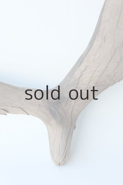 画像2: 変形流木 (2)