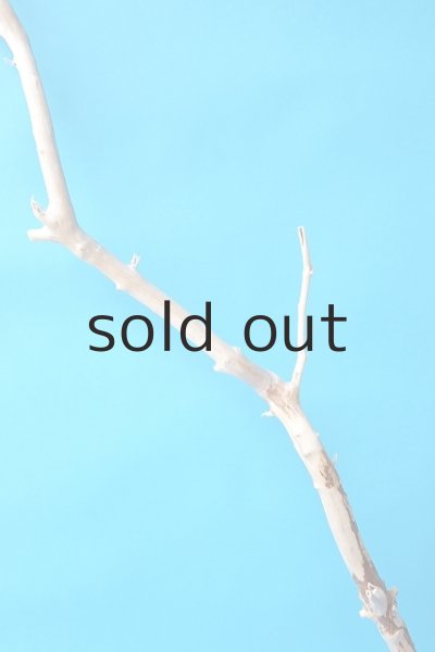 画像5: 幹流木 (5)