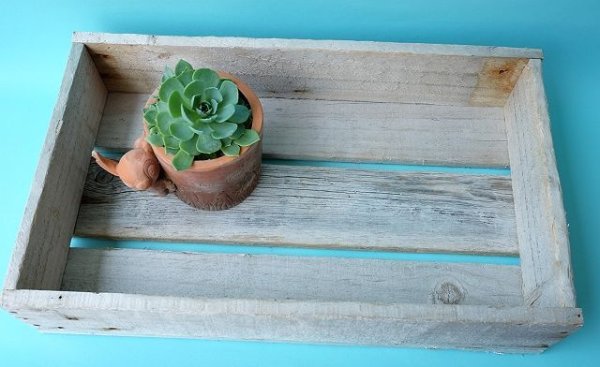 画像4: トロ箱 (4)