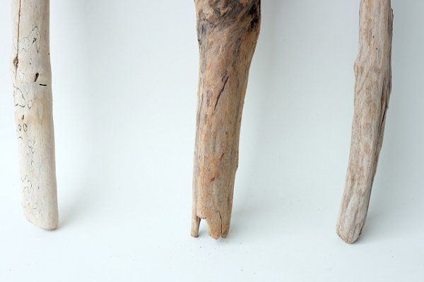 画像2: 小枝流木セット (2)