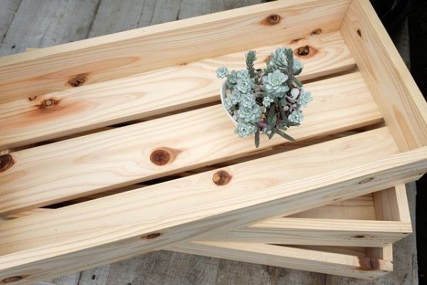 画像3: ガーデン用・トロ箱（小） (3)