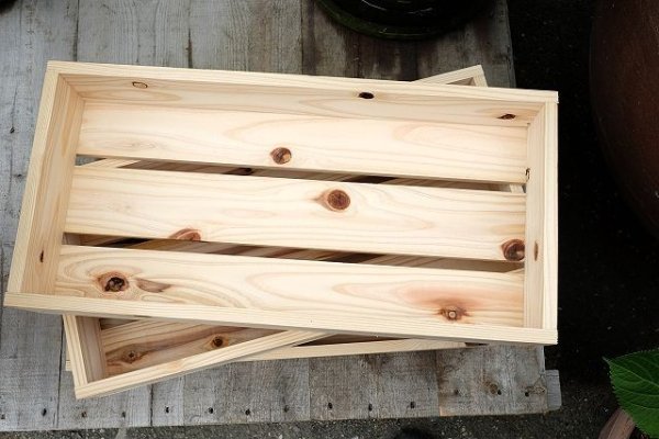 画像2: ガーデン用・トロ箱（小） (2)