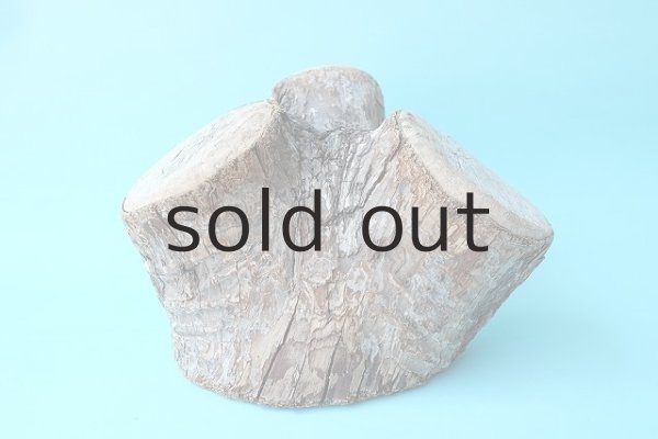 画像2: 幹流木 (2)