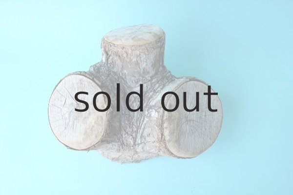 画像3: 幹流木 (3)