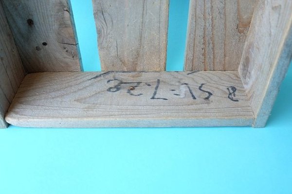 画像2: トロ箱 (2)