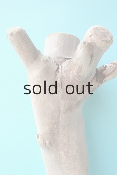 画像3: 幹流木 (3)