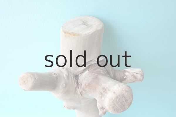 画像4: 幹流木 (4)