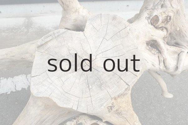 画像3: 大型 根 (3)