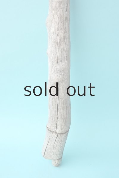 画像2: 枝流木 (2)