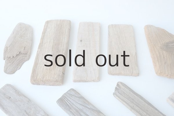 画像2: 板流木セット (2)