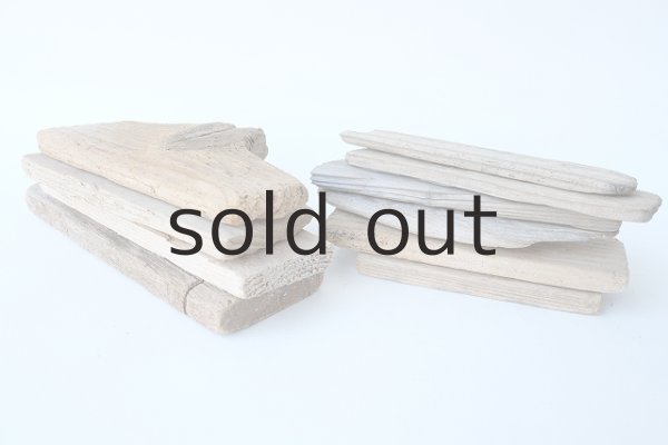 画像4: 板流木セット (4)