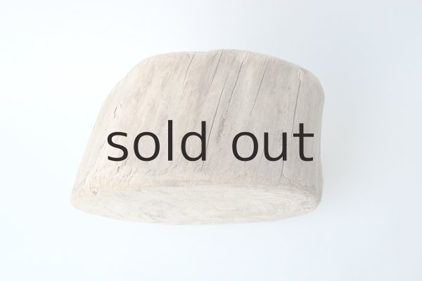 画像3: 板流木・切り株 (3)