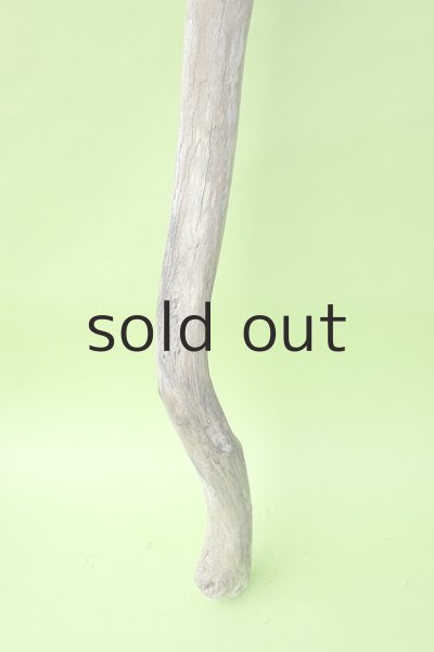 画像2: 幹流木・長尺 (2)