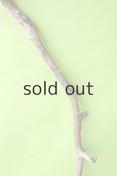 画像3: 幹流木 (3)