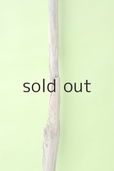 画像3: 幹流木 (3)