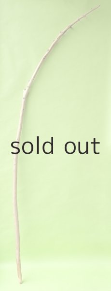 画像1: 棒流木・長尺 (1)