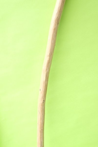 画像3: 棒流木・長尺 (3)