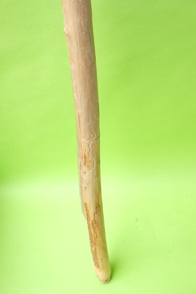 画像2: 棒流木・長尺 (2)