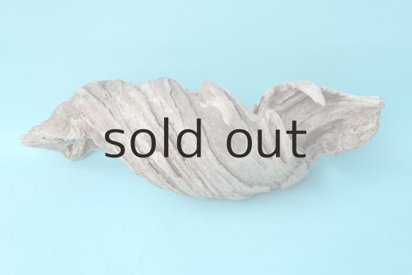 画像3: 変形流木 (3)