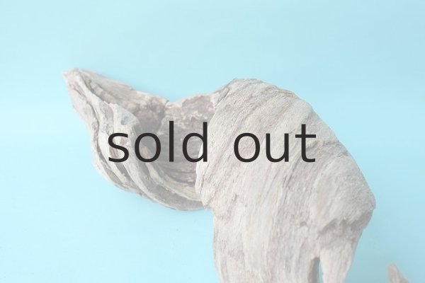 画像4: 変形流木 (4)