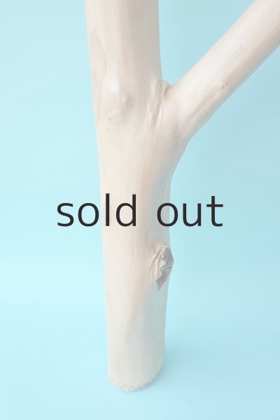 画像2: 枝流木 (2)