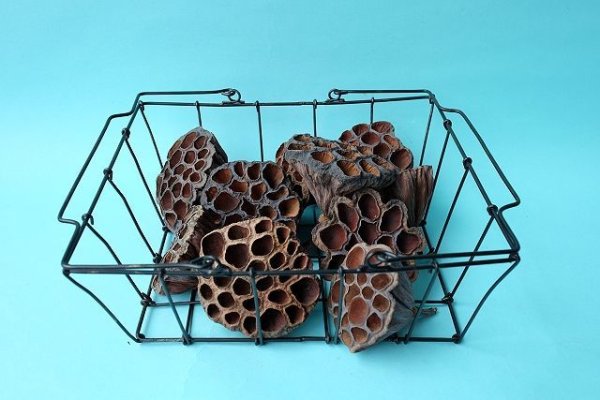 画像2: Dry plants for decor デコール用乾燥花托(蓮)【10個セット】*outlet* (2)