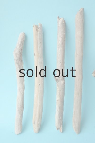 画像2: 小枝流木セット (2)