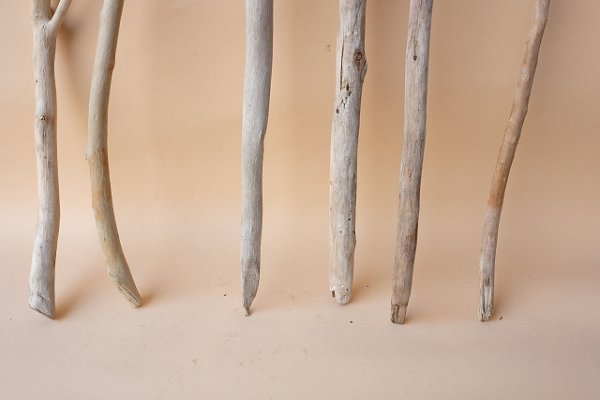 画像2: 小枝流木セット (2)