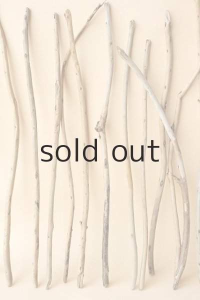 画像3: 棒流木セット (3)