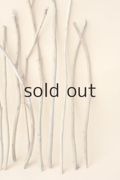 画像4: 棒流木セット (4)