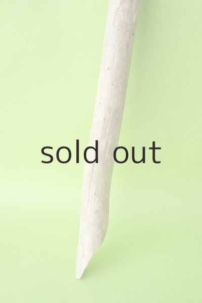 画像2: 枝流木 (2)