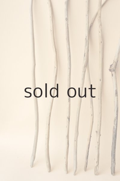 画像2: 棒流木セット (2)